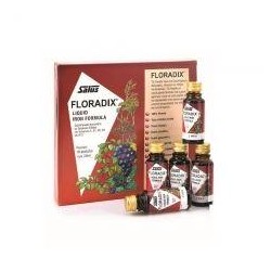 POWER HEALTH Floradix 10x20 Ml | Υγεία - Αγορά Online