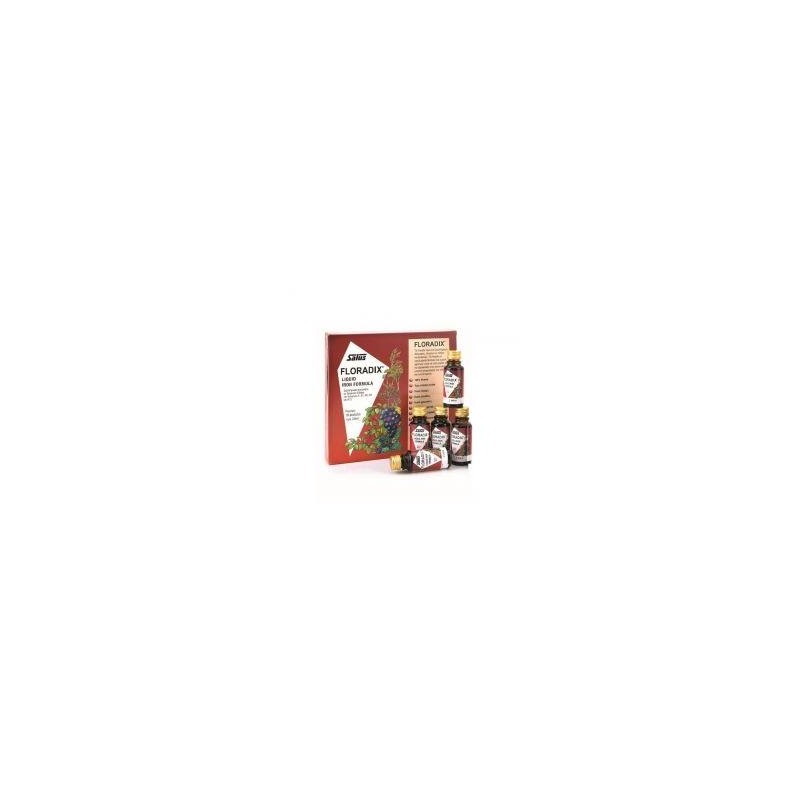 POWER HEALTH Floradix 10x20 Ml | Υγεία - Αγορά Online