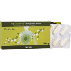 PHARMAQ Mastiha Therapy Συμπλήρωμα Μαστίχας Χίου 350mg, 30 caps
