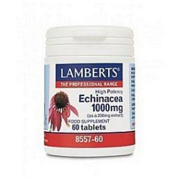 LAMBERTS Echinacea 1000mg 60tabs | Κρυολόγημα - Αγορά Online