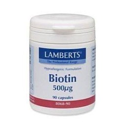LAMBERTS Biotin 500mcg 90caps | Βιταμίνες Α-Ζ - Αγορά Online