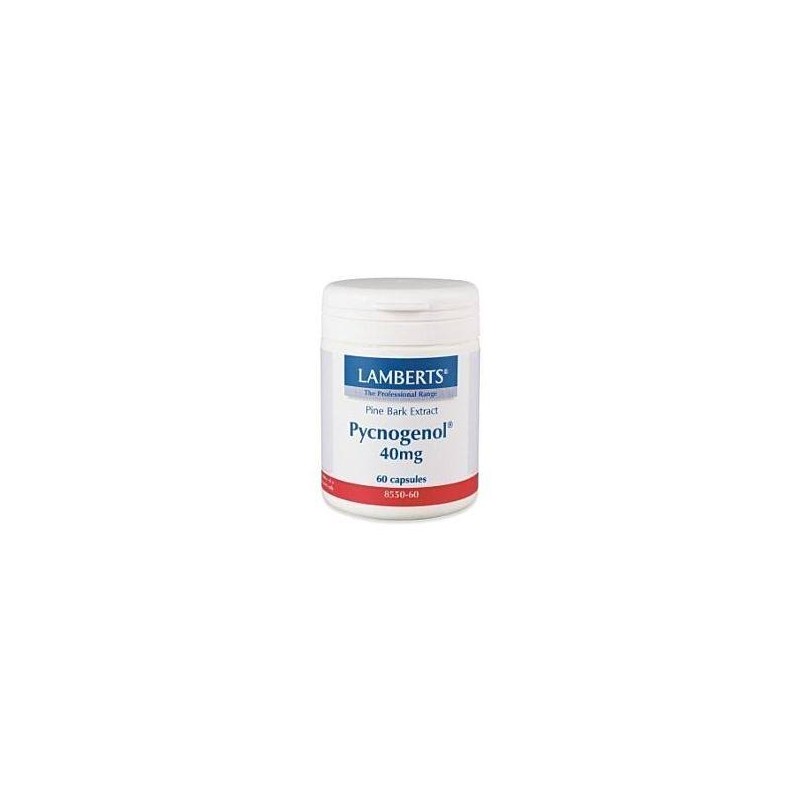LAMBERTS Pycnogenol 40mg 60caps | Υγεία - Αγορά Online