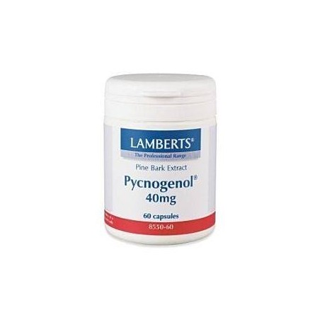 LAMBERTS Pycnogenol 40mg 60caps | Υγεία - Αγορά Online