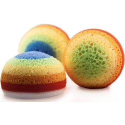 Beauty Spring Synthetic Sponge